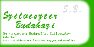 szilveszter budahazi business card